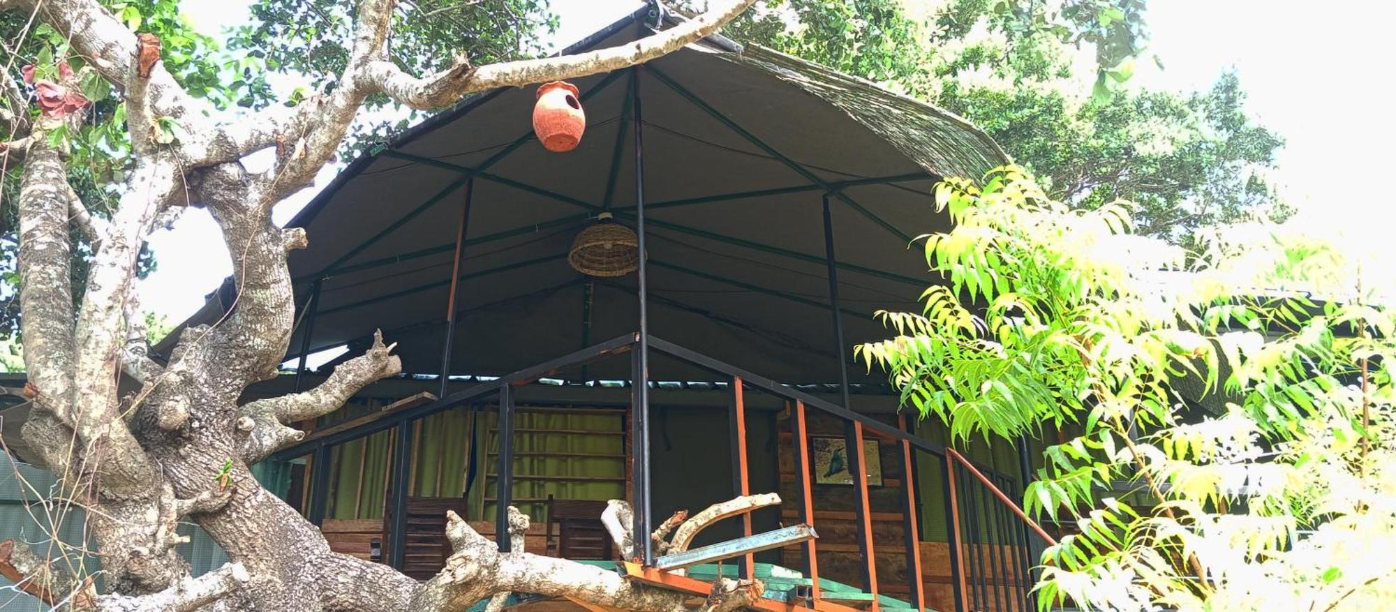 Jungle Cabin - Bundala Bundala Levagangoda Dış mekan fotoğraf